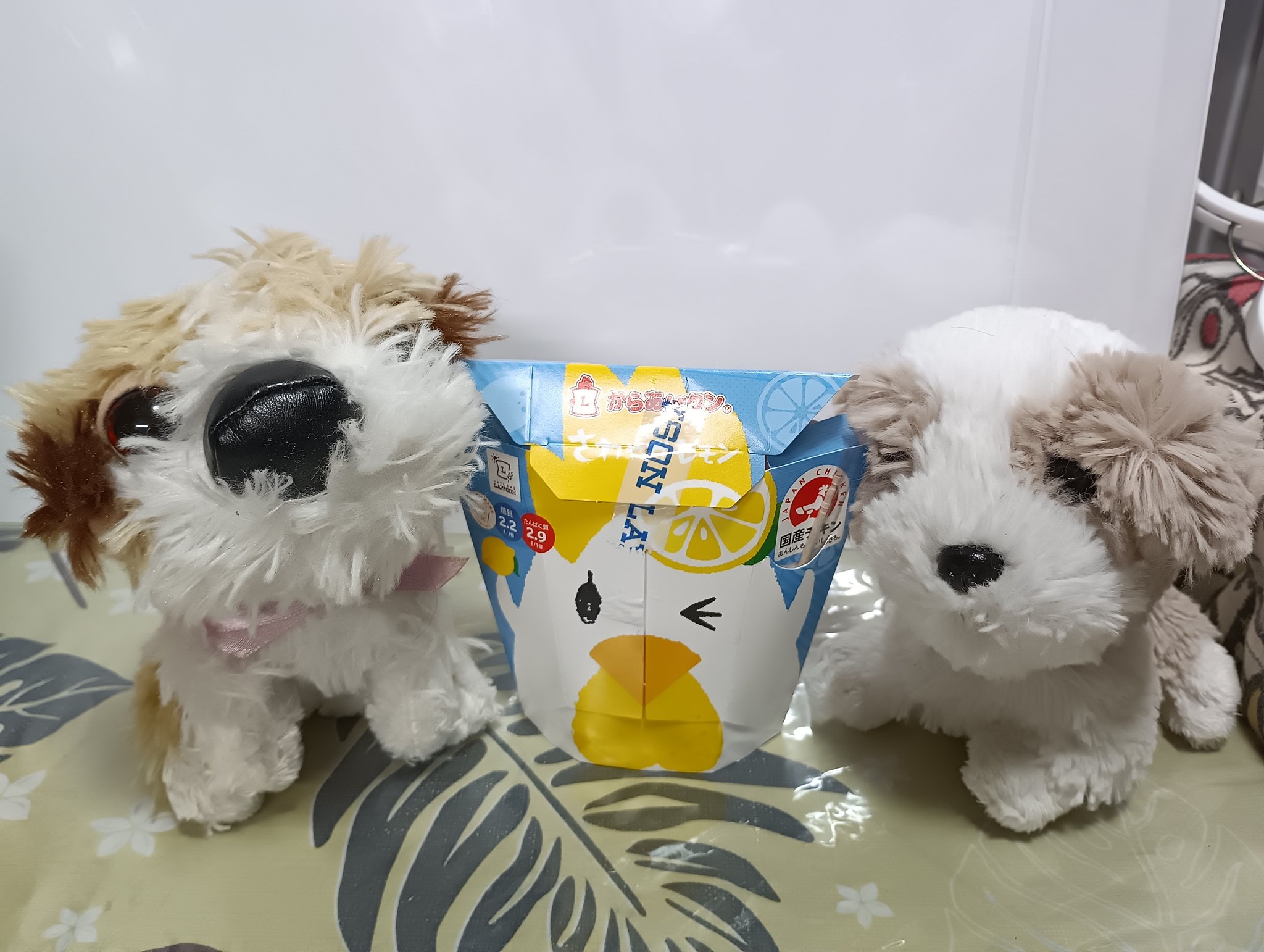 ワンちゃん！ Amazon.co.jp: おさんぽしよう!とことこワンちゃん マルチーズ