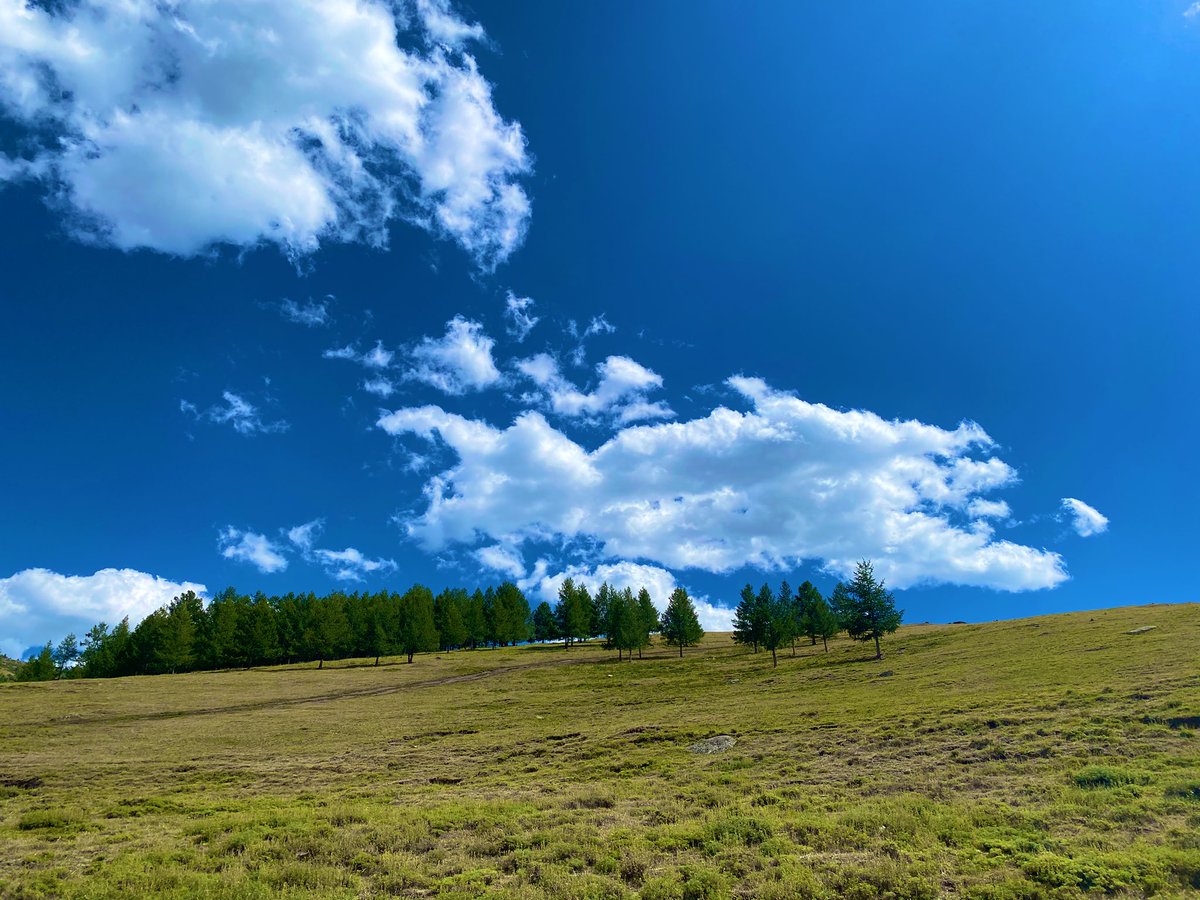 batkhuuoch's tweet image. Өглөөний мэнд