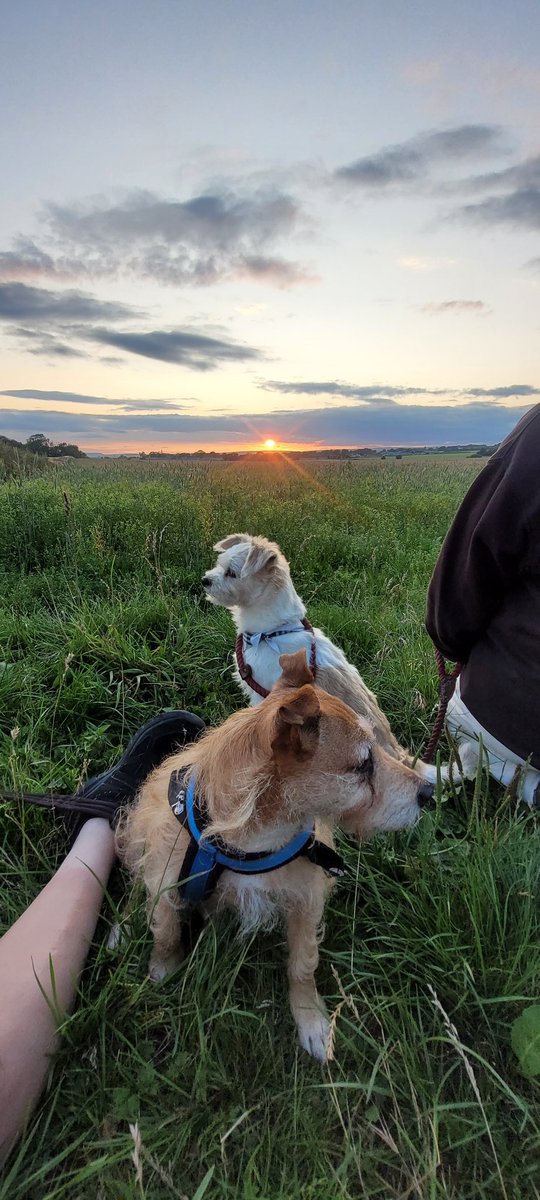 FreddTTaylor (@freddtaylor1st) on Twitter photo 