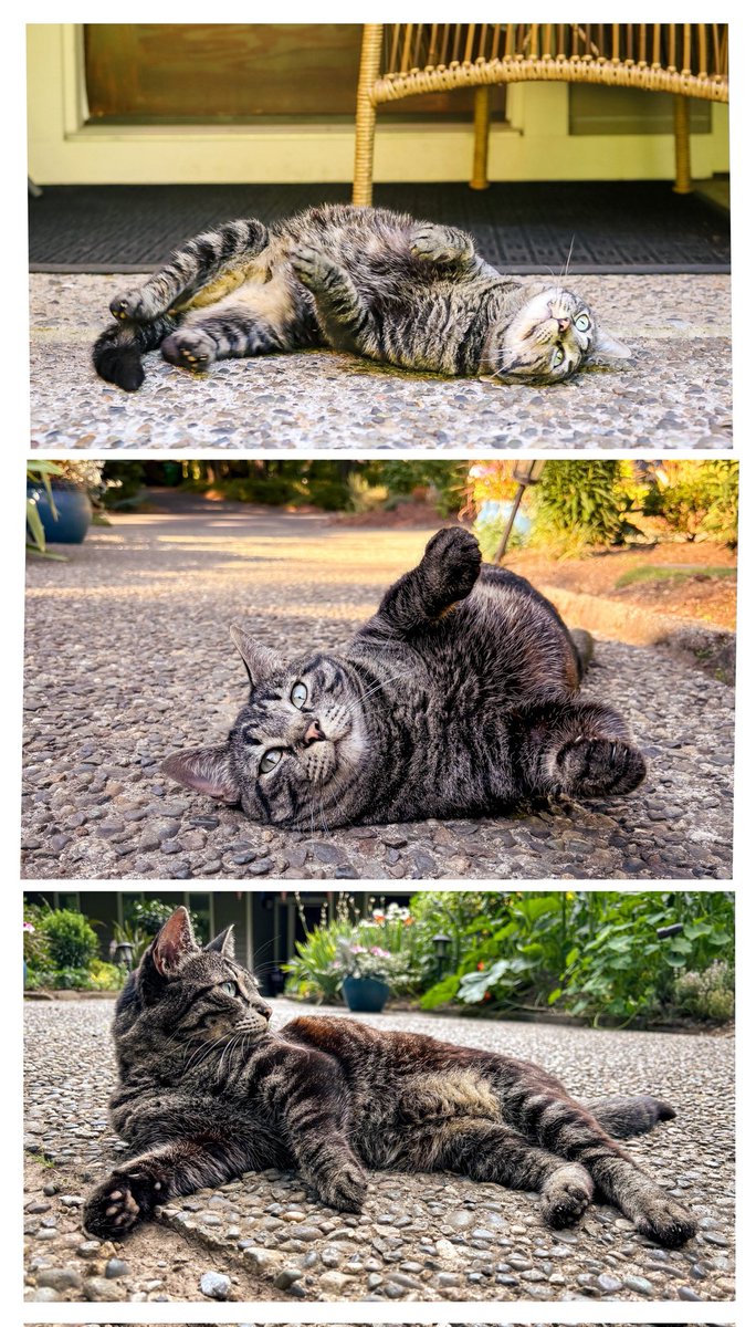 MinnieTheGood's tweet image. The Sunny Wallow