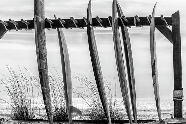 GiacalonePhoto's tweet image. Seaside Surfboards Monochrome - Coronado California
More info and pricing here: joegiacaloneart.pixels.com/featured/seasi…
#coronado #california
#blackandwhitephotography
#BuyIntoArt