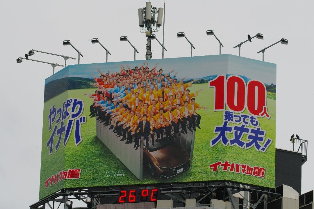 crow_research's tweet image. 100人と2羽乗っても大丈夫。