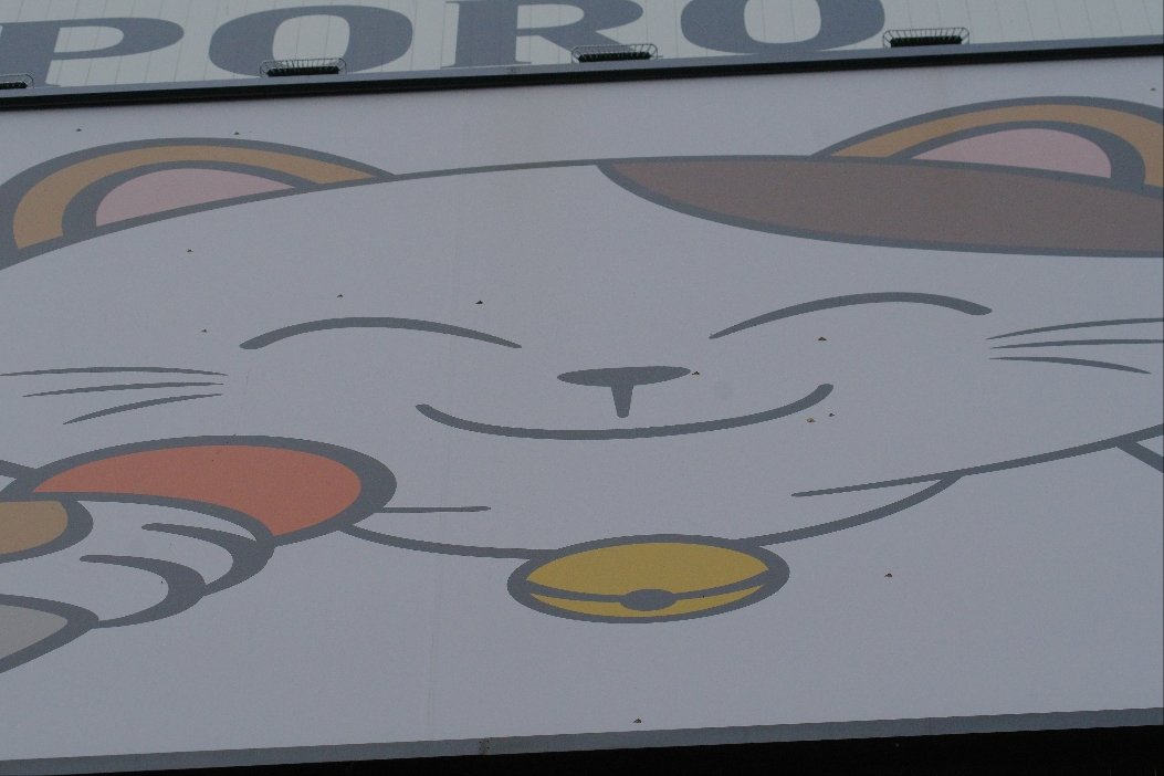 crow_research's tweet image. 100人と2羽乗っても大丈夫。