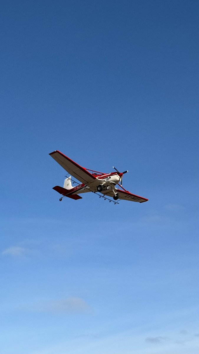 Bruno Pazos tweet media