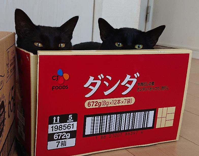 arca20220921's tweet image. だいぶ見えてる