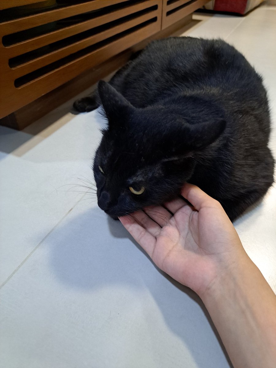 taehyunguete's tweet image. 