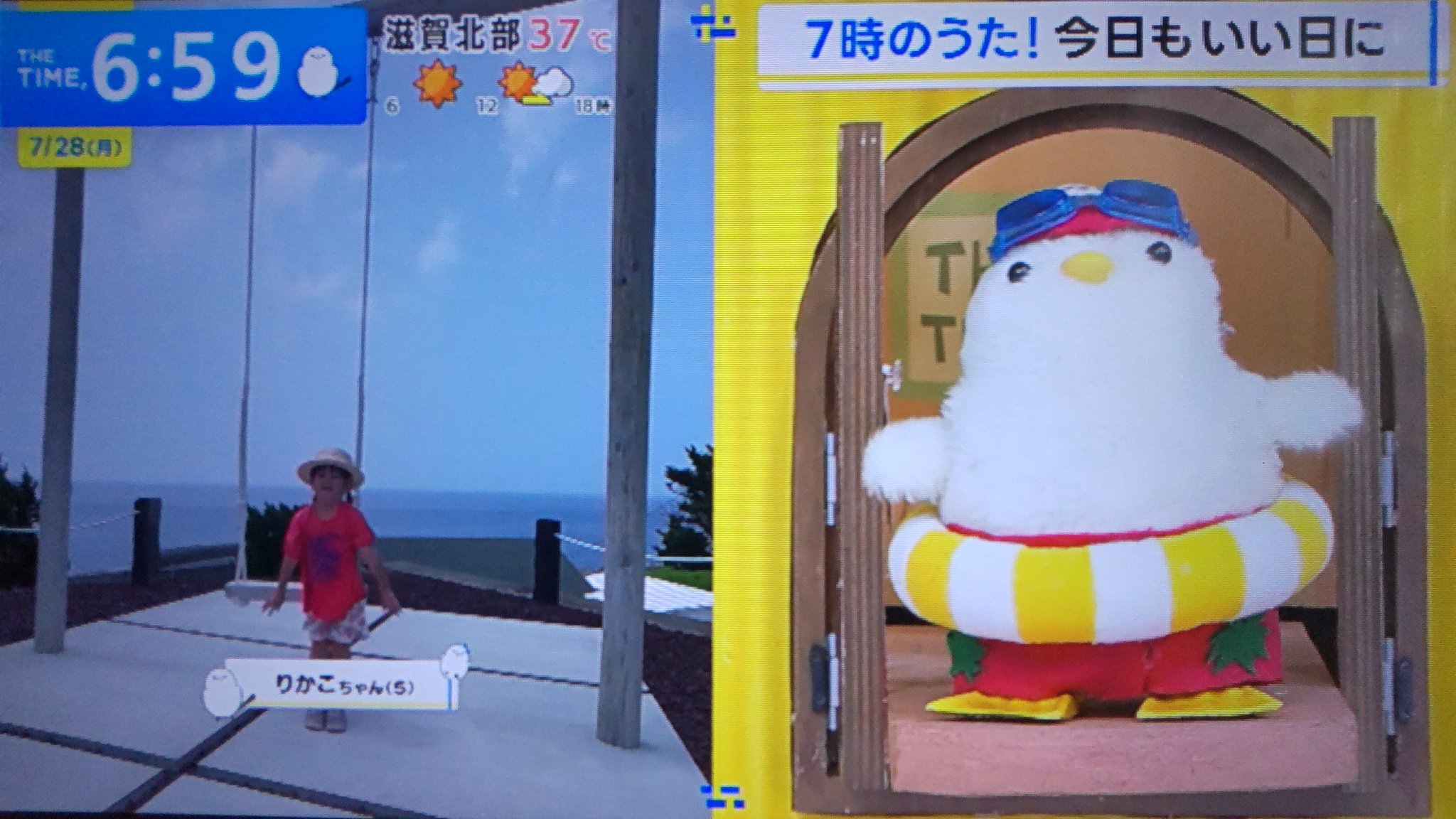 白樺のブランコで一休み♡ シマエナガちゃん シマエナガ 💬 シマエナガの雛 枝にとまらずに 地上に降りた天使