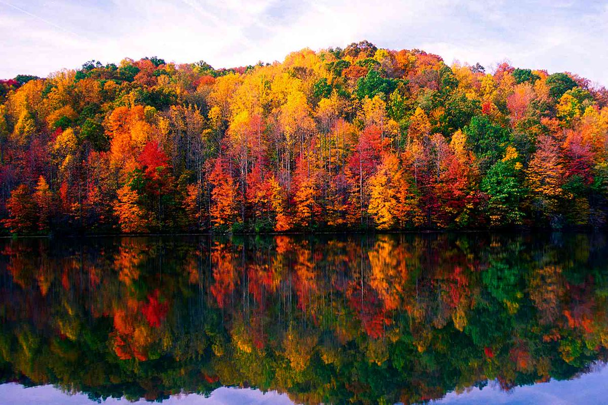 <a href="/SarahGeving1/">Sarah Geving</a> Radnor Lake- It's even better in the fall.