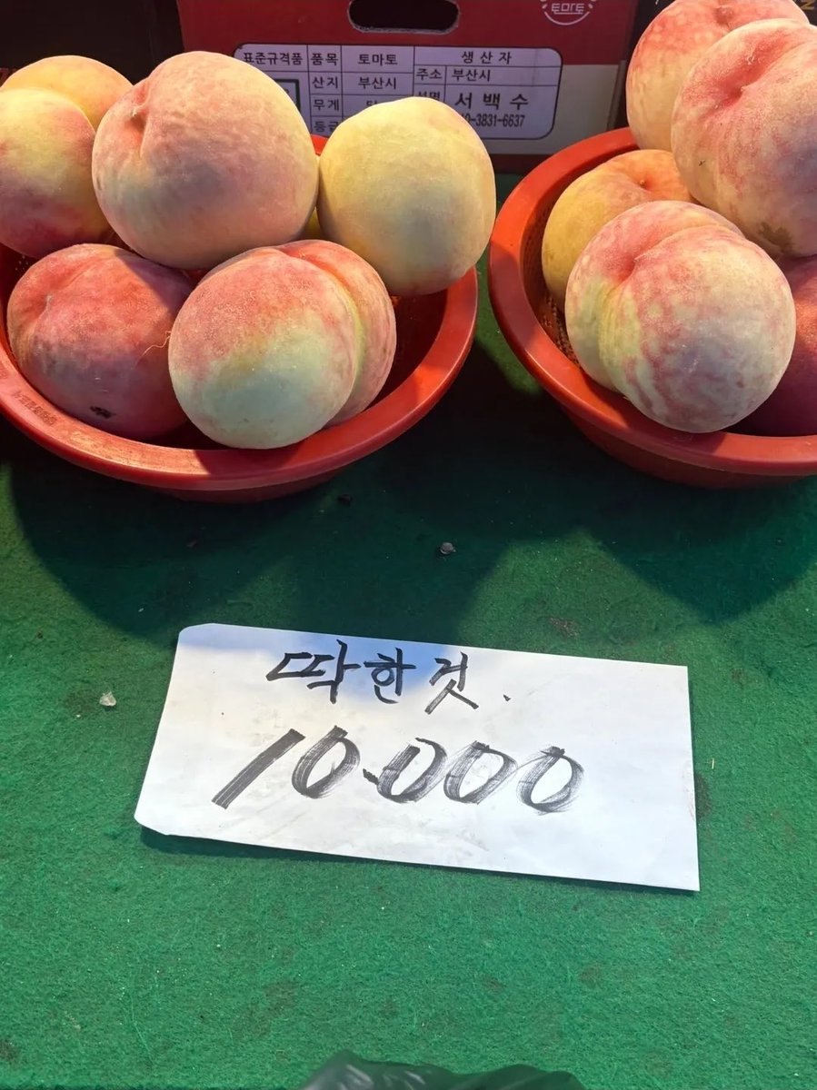 내 취향 사진들 (@myfavzzal) on Twitter photo 