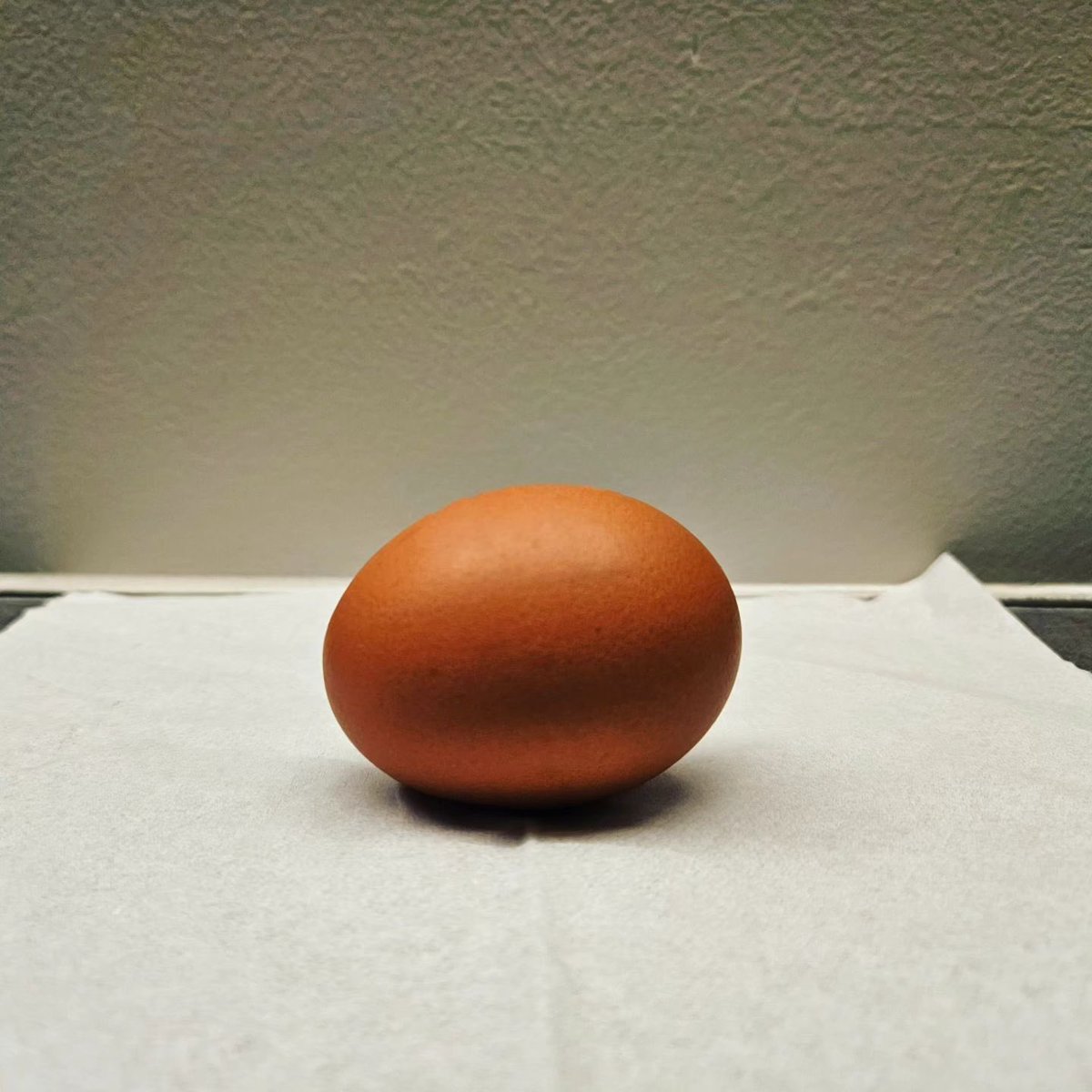 waveform912's tweet image. 🐥와 인스타에서 계란 사진 지우니까 마음이 편안하네 ㅋㅋㅋㅋㅋㅋㅋㅋㅋㅋ

지웠구나 ㅋㅋㅋㅋㅋㅋㅋㅋㅋㅋㅋㅋ