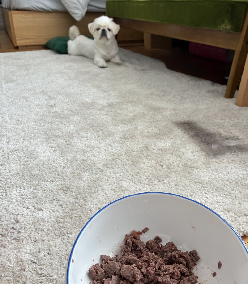 good_bye's tweet image. ぽつお、朝ごはんよ