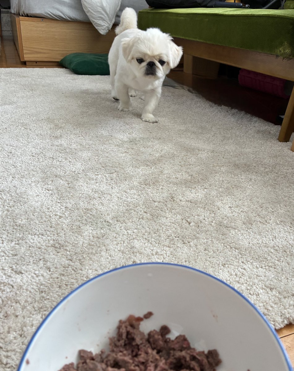good_bye's tweet image. ぽつお、朝ごはんよ