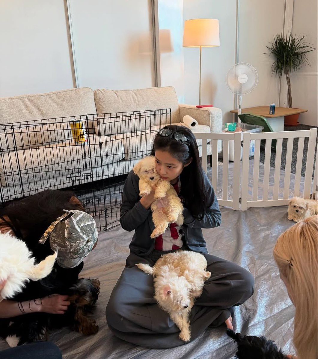spinorbinmusic's tweet image. Jennie + puppies = the ultimate serotonin boost 🐶💖 She looks absolutely adorable in these new photos! Our soft girl with her soft friends 😍 #JENNIE #BLACKPINK