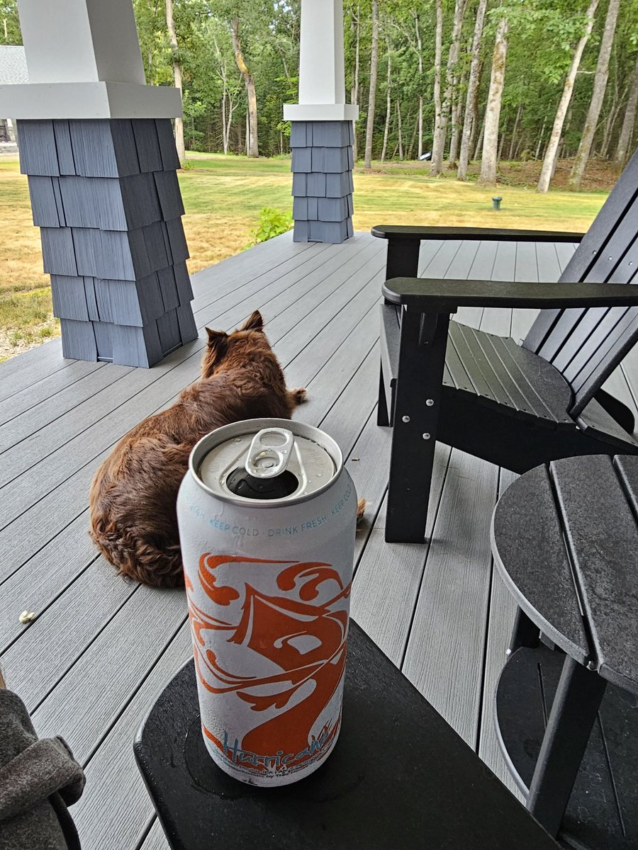 myWinnipesaukee's tweet image. Lawn got water while I treehouse&apos;d