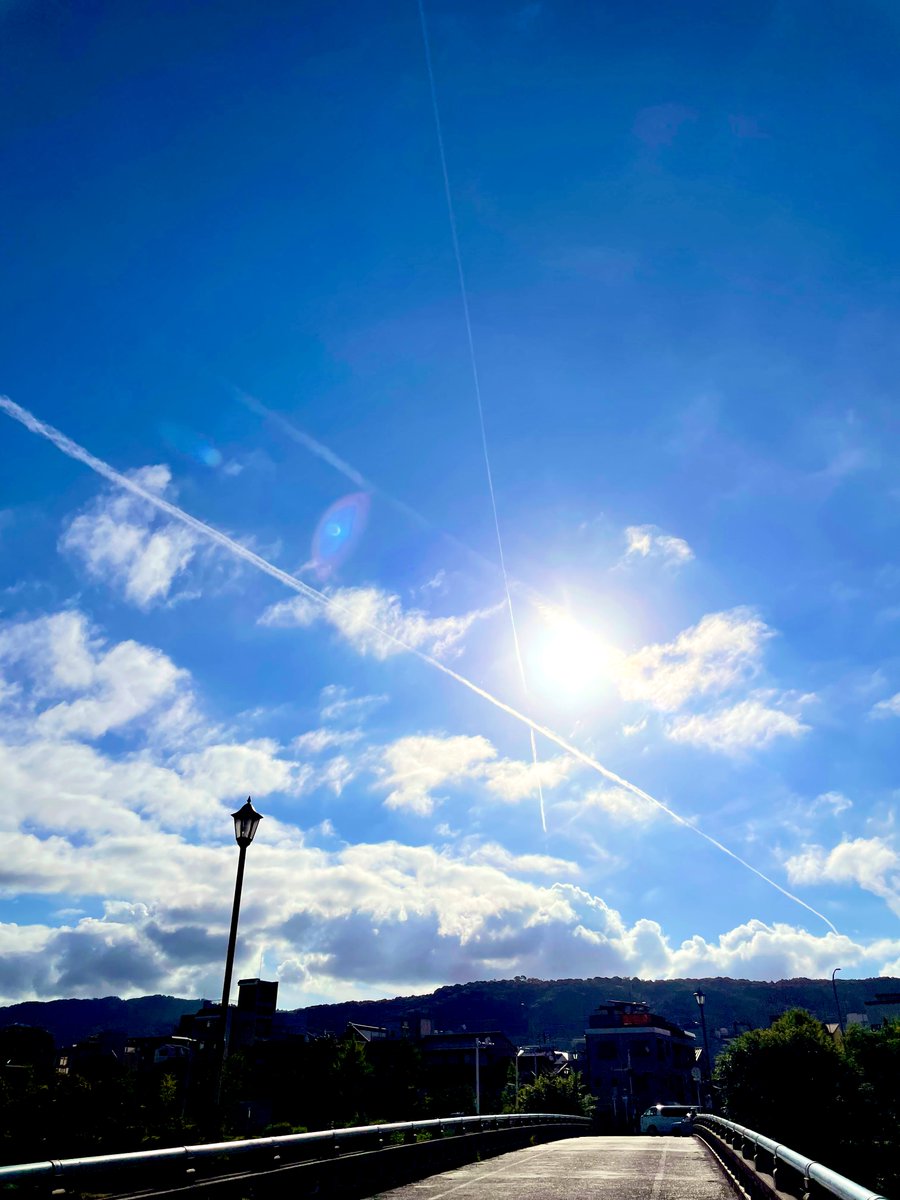 nouchikengo's tweet image. Fly away!