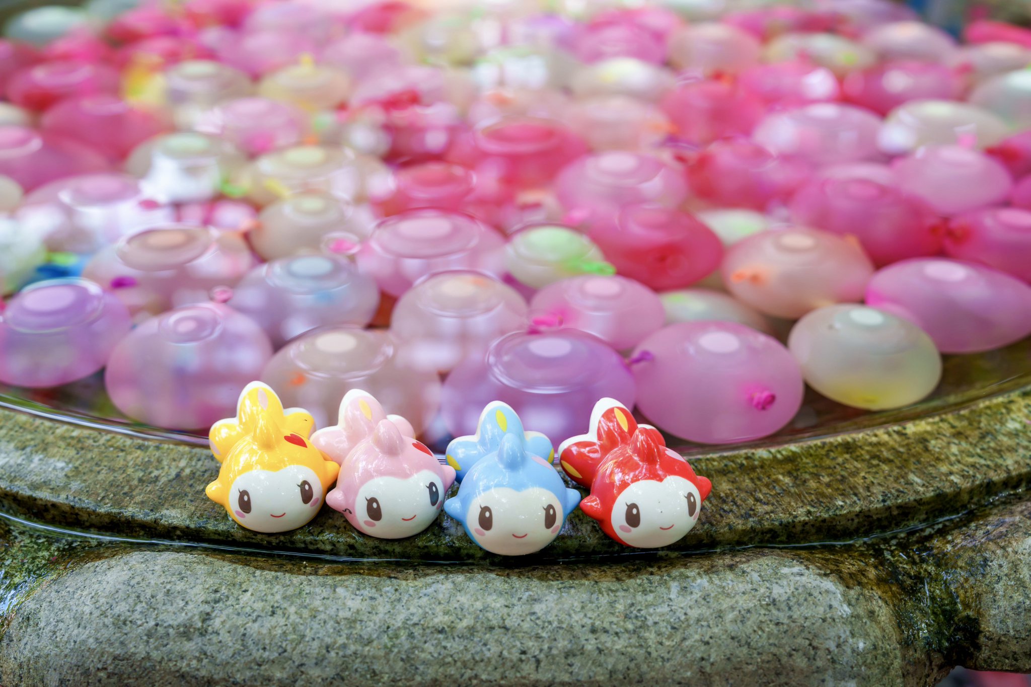 あんころもち📷 on X: 