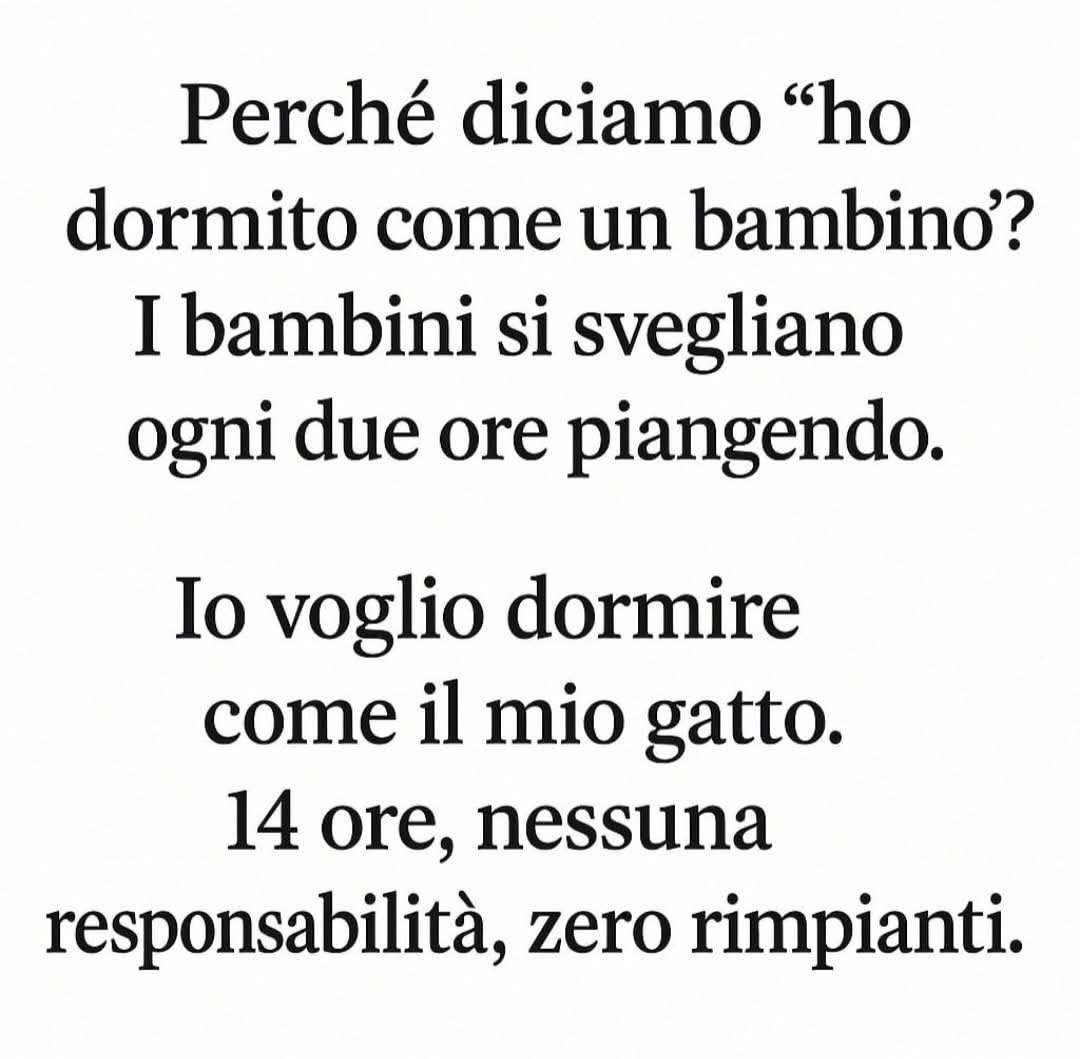 Cesidio58667798's tweet image. 