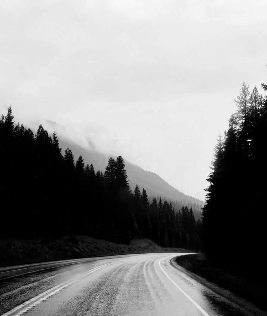 chase_the_high's tweet image. 