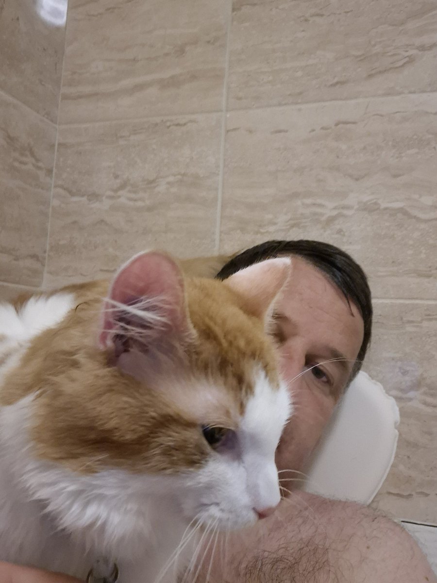 The cat just got in the bath with me...

This is not normal behaviour....

##CatsOfTwitter