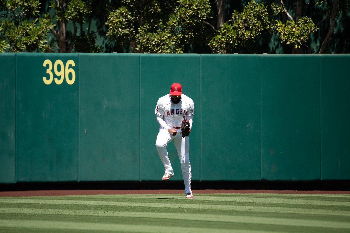 Jordon Scott Adell

that's it, that's the tweet