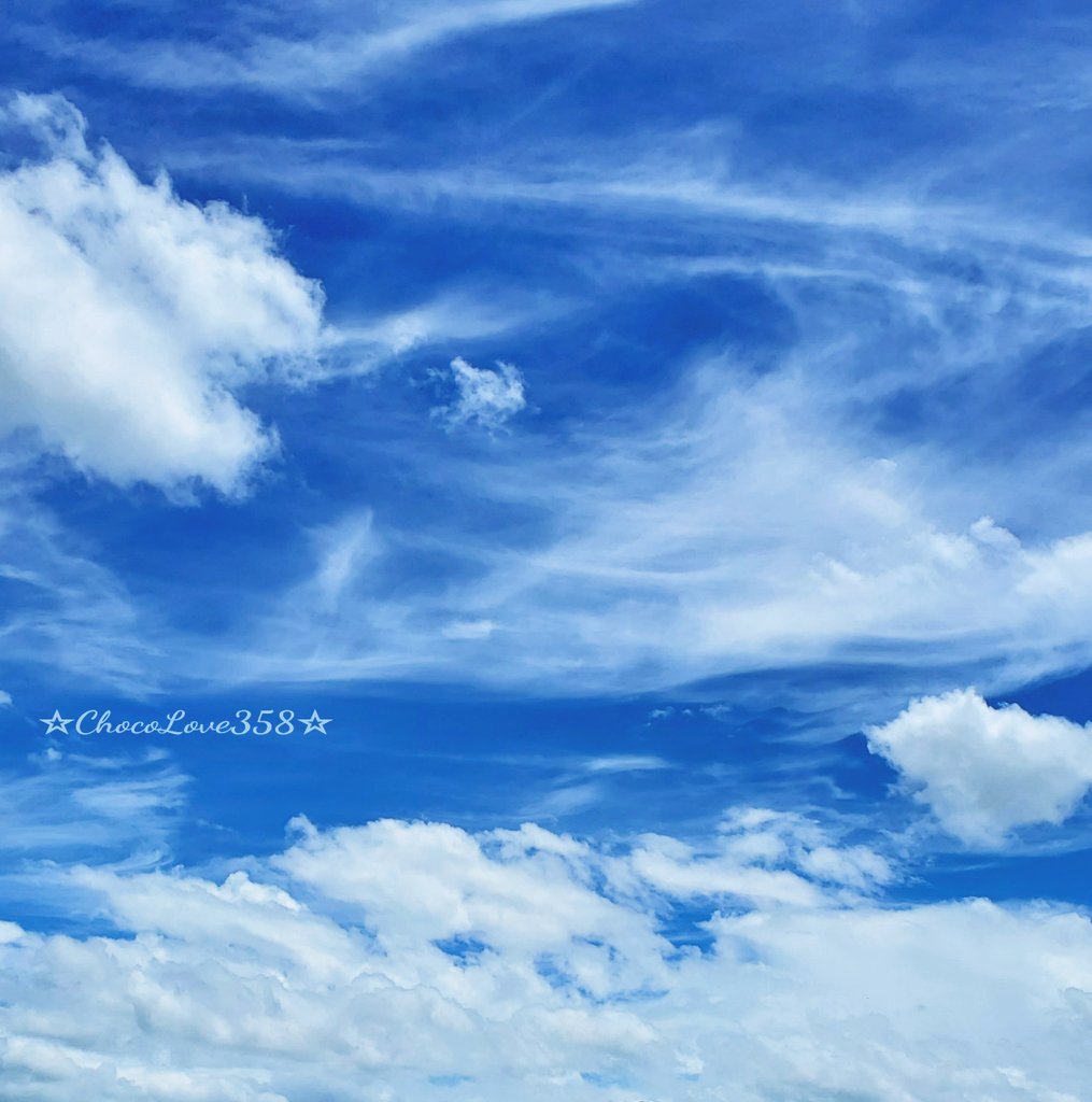 ChocoChocolLove's tweet image. ✲ฺ*ꕤ୭*✧•°✼🎀✲ฺꕤ୭*✧•°*

おはようございます♬*°
いつも RP いいね リプ
ありがとうございます✨
優しい繋がりにも感謝♡

今週も 心穏やかな時間を
お過ごしください🍀࿐ 
よろしくお願いします✨

#TLを花でいっぱいにしよう
#キリトリセカイ

✲ฺ*ꕤ୭*✧•°✼🎀✲ฺꕤ୭*✧•°*