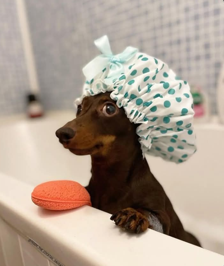 DannyMacK💯 tweet media