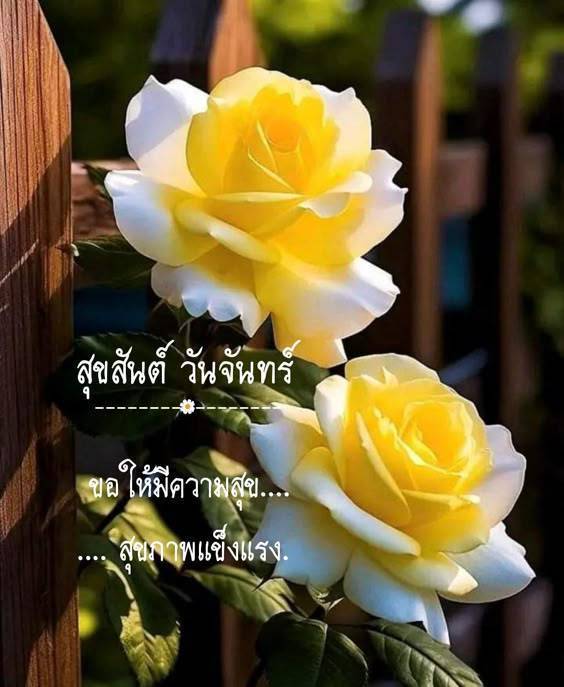 อรุณสวัสดิ์เช้าวันจันทร์ค่ะ