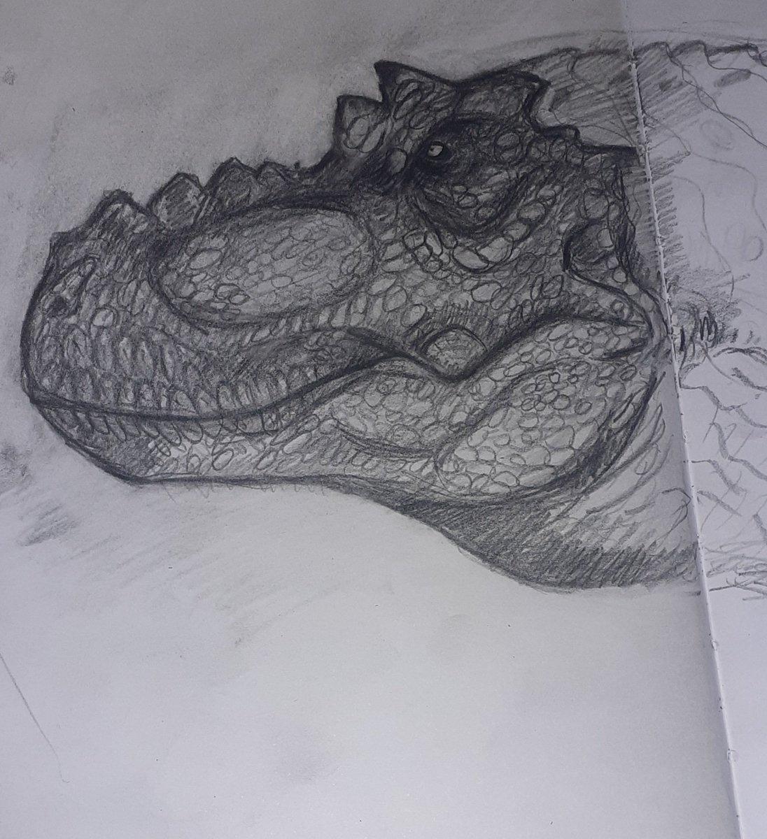 RafaMJ0307's tweet image. Some stylized trexes that i think could work as a redesign for the Jp one #JurassicWorld #paleoart
