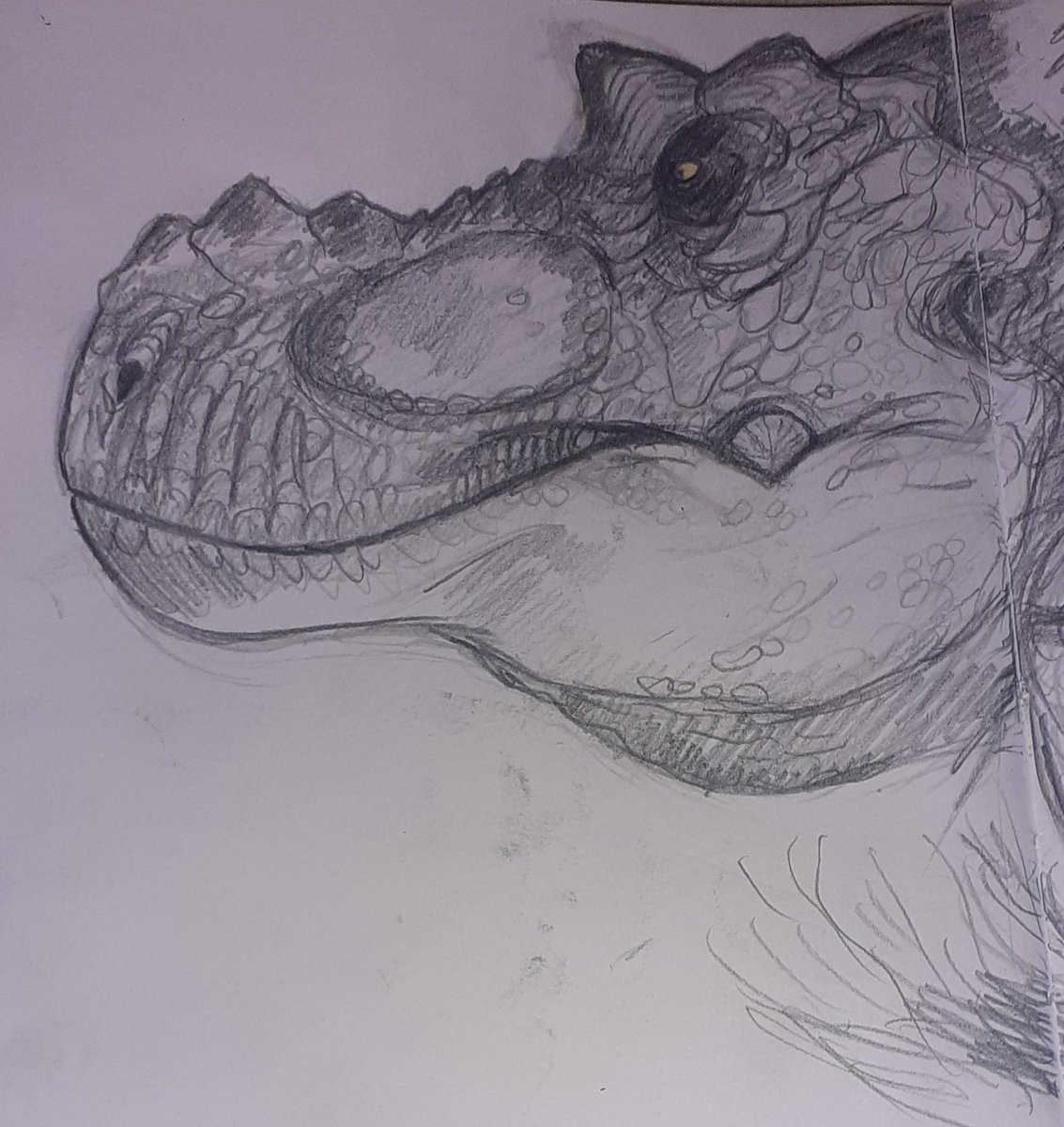 RafaMJ0307's tweet image. Some stylized trexes that i think could work as a redesign for the Jp one #JurassicWorld #paleoart