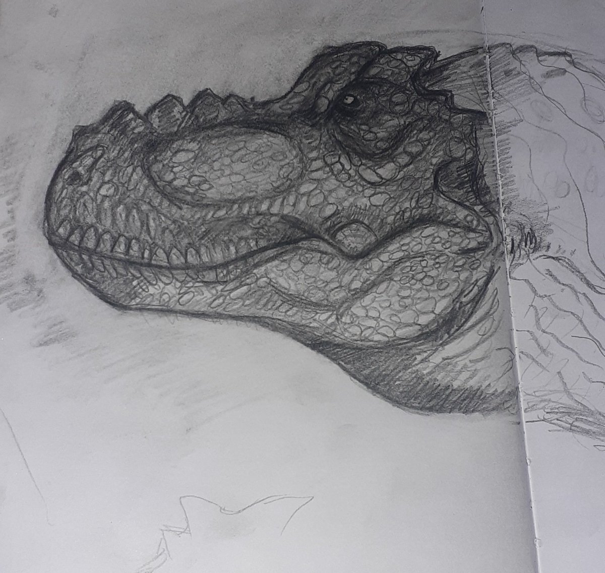 RafaMJ0307's tweet image. Some stylized trexes that i think could work as a redesign for the Jp one #JurassicWorld #paleoart