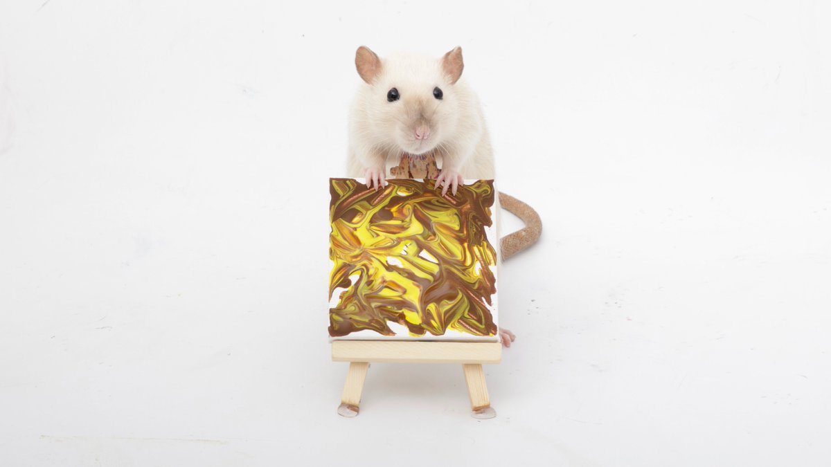 Rattrixs's tweet image. This week’s paw paintings by my sweet rats - Toast, Popcorn, and all their buddies did a great job!
.
If you would like to commission your own rat paw painting, you can do so here: etsy.com/shop/RatPainti…