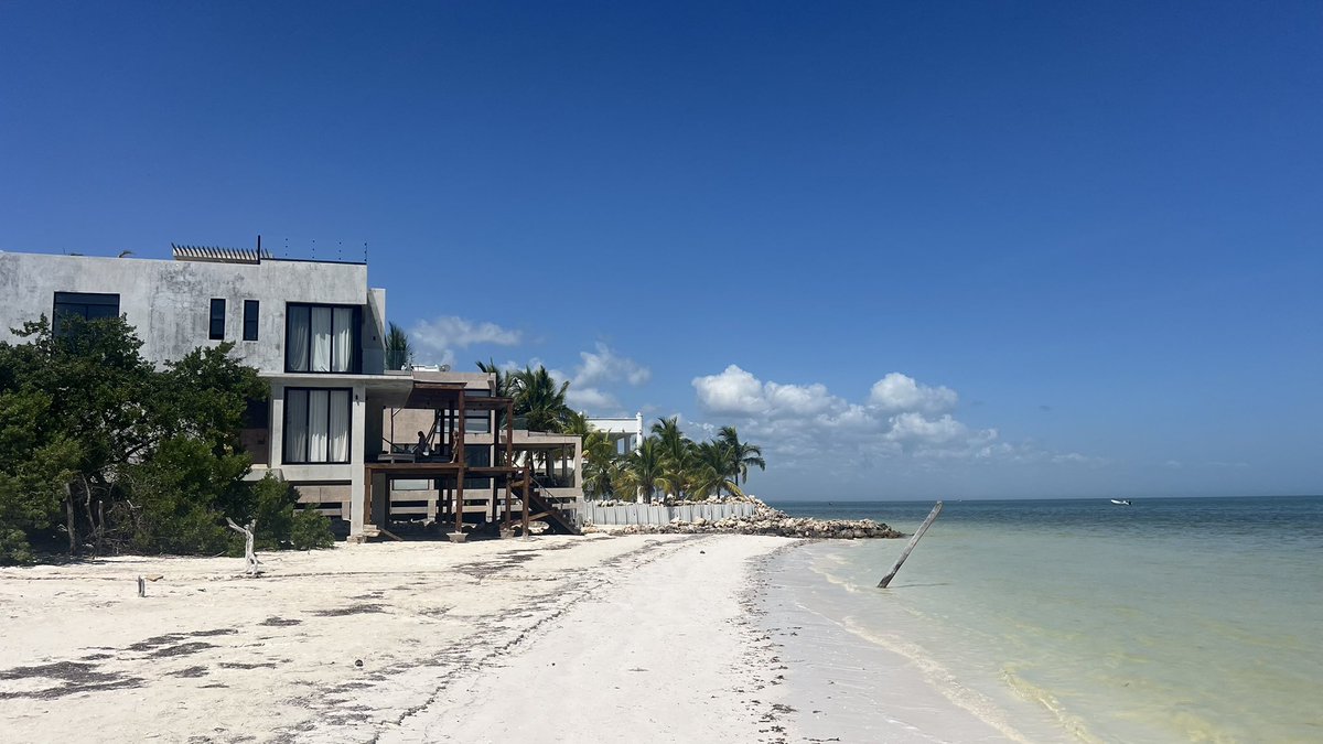 FantomPunks's tweet image. On the beach for the week. Dont nuke the charts por favor amigas.