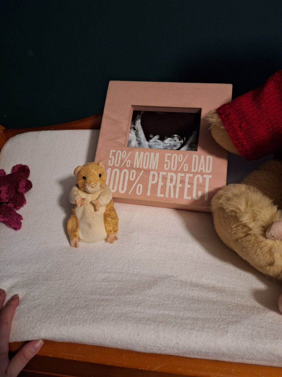 AlysssaHazel's tweet image. Transitioning the office into a nursery. Less than six months til I meet the little girl who'll call me "mom".
