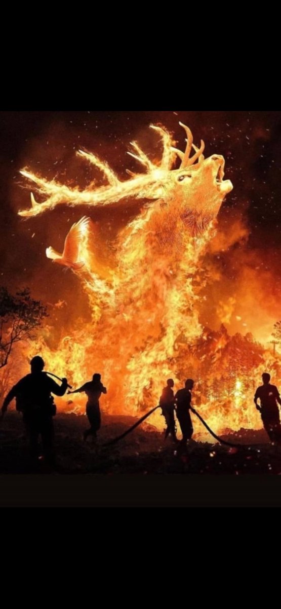 Türkiye 🇹🇷 m yanıyor 🔥 ciğerlerimiz yanıyor maalesef 🔥 😞 

#yangın #TürkiyeYanıyor #bursayanıyor #HarmancıkYanıyor #Bursa #Harmancık #yangınfaciası #yangınvar Yangın 🔥 #bursaharmancık