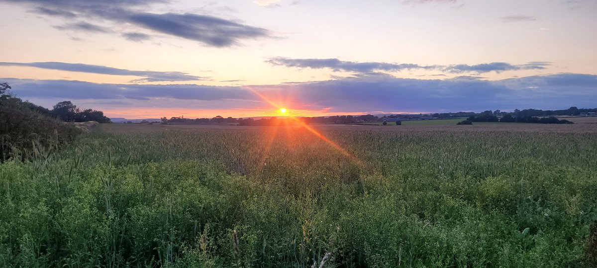 FreddTTaylor (@freddtaylor1st) on Twitter photo 