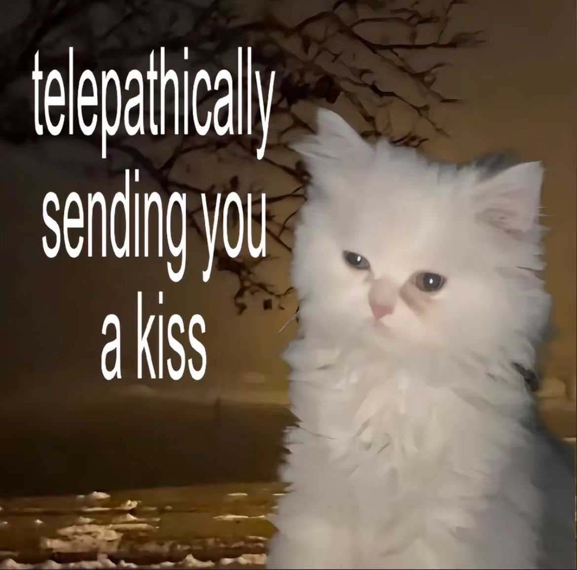 Me & Who? (@tagyourwho) on Twitter photo 