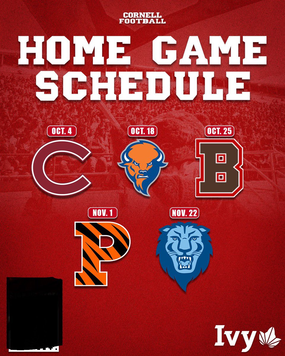 Sawyer Phillips (@phillipssawyer7) on Twitter photo thank you <a href="/TerryUrsin/">Terry Ursin</a> for the invite to <a href="/BigRed_Football/">Cornell Football</a> this fall! look forward to making the trip there!
<a href="/DanSwanstrom/">Dan Swanstrom</a> <a href="/BeechFootball/">Beech Football</a> <a href="/QBC_Nashville/">QB Country Nashville</a> <a href="/BuckFitz/">NPA/SUPERMAX 100</a> <a href="/CSmithScout/">Chris Smith</a> thank you <a href="/TerryUrsin/">Terry Ursin</a> for the invite to <a href="/BigRed_Football/">Cornell Football</a> this fall! look forward to making the trip there!
<a href="/DanSwanstrom/">Dan Swanstrom</a> <a href="/BeechFootball/">Beech Football</a> <a href="/QBC_Nashville/">QB Country Nashville</a> <a href="/BuckFitz/">NPA/SUPERMAX 100</a> <a href="/CSmithScout/">Chris Smith</a>