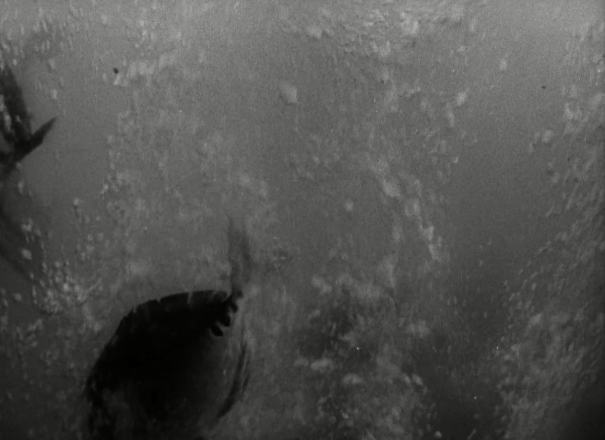 M3S0soic's tweet image. #GojiRewatch25
Godzilla vs. Hedorah is mostly similar to All Monsters Attack (in some way it's its spiritual remake) but just like the original it has a one-eyed scientist watching the death of his fish in the tank.