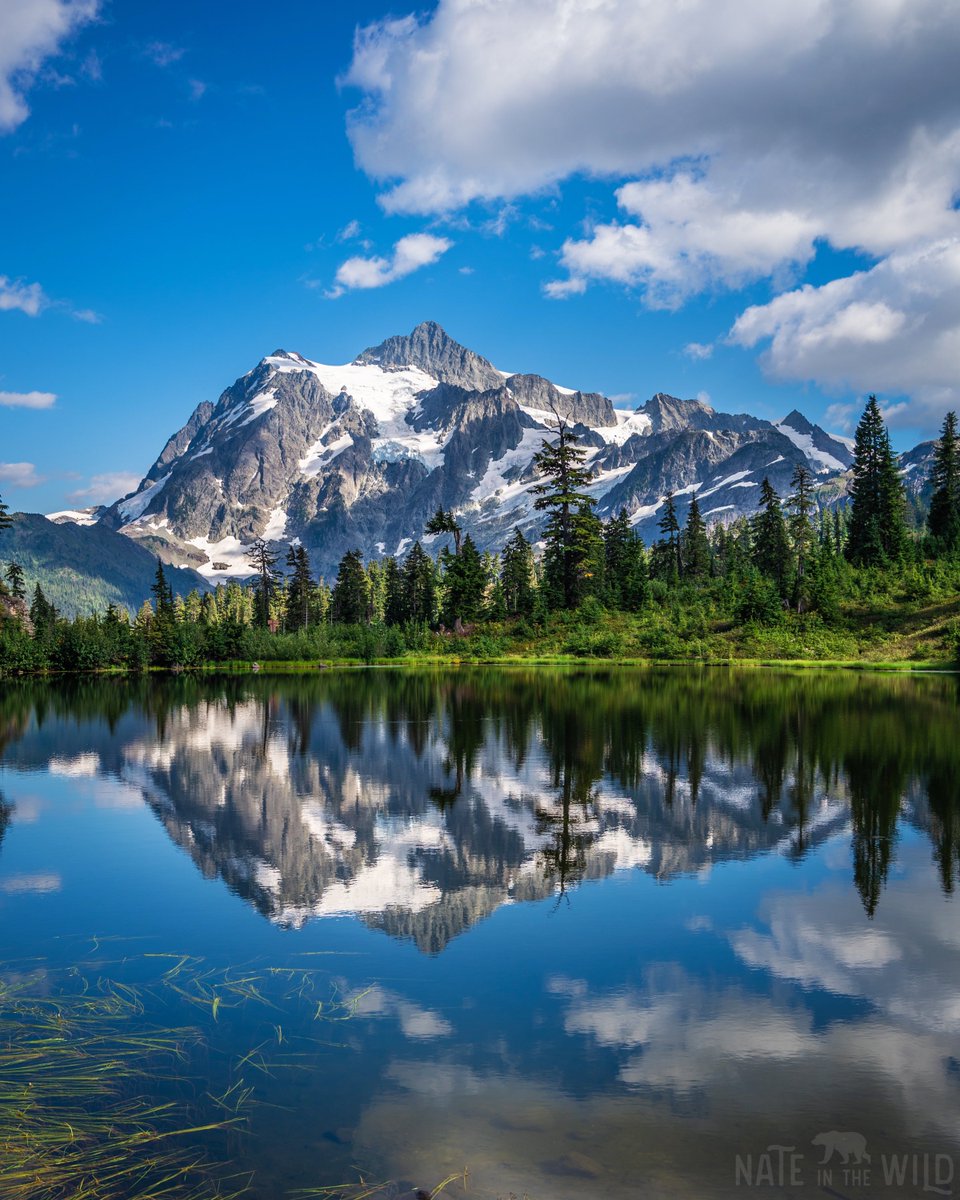 Nateinthewild | Nate Luebbe tweet media