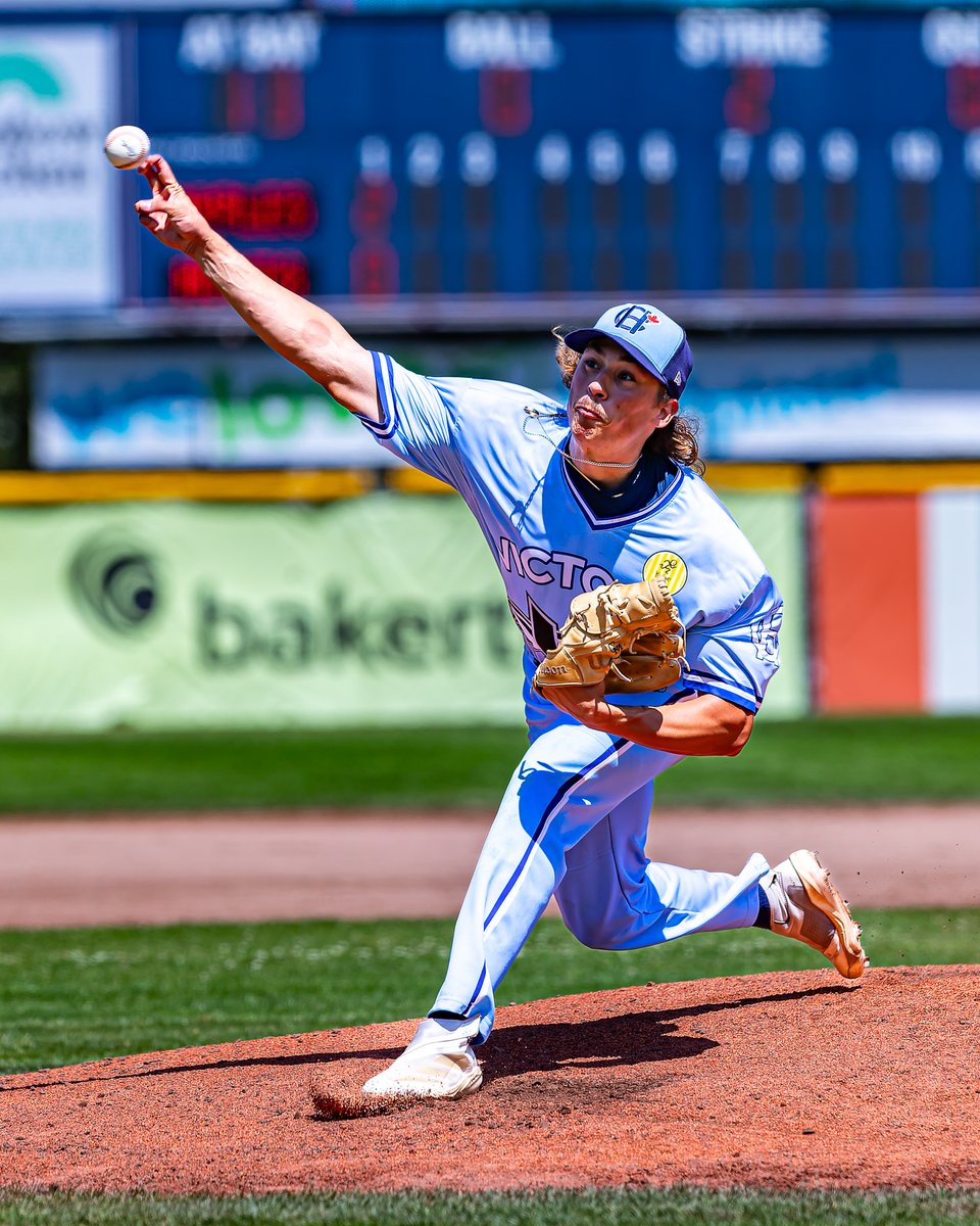 Victoria HarbourCats tweet media
