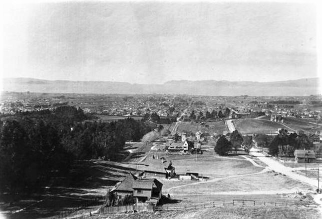 CalBearsHistory's tweet image. A view of Northside from the Berkeley hills in 1904. The trees at left are on the northern edge of campus.
