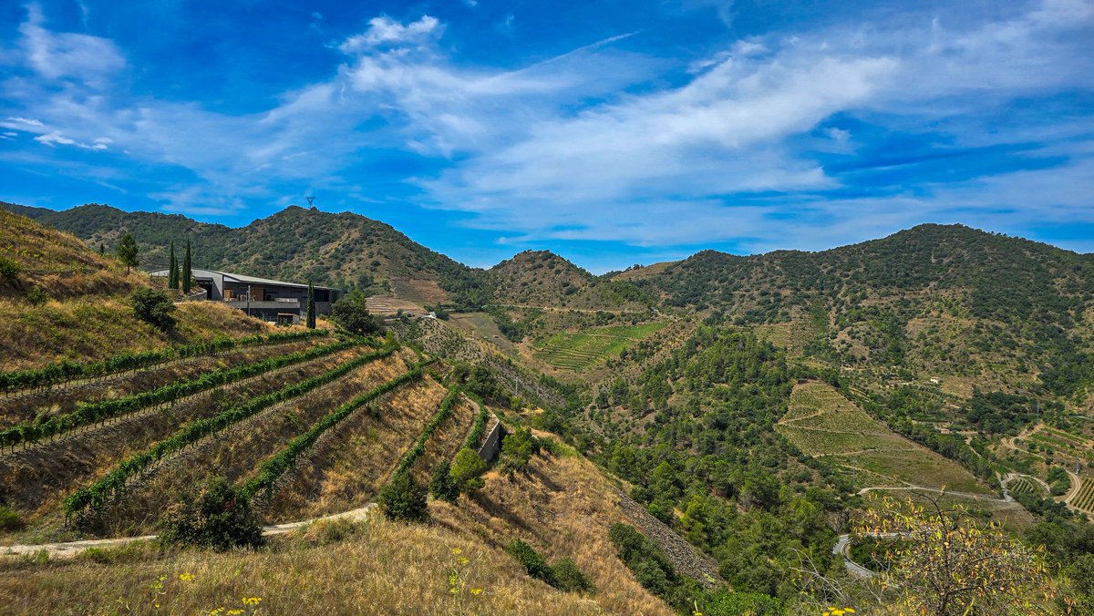 View of the tasting room at Ferrer Bobet winery in #Priorat  <a href="/ferrerbobet/">FERRER BOBET</a>