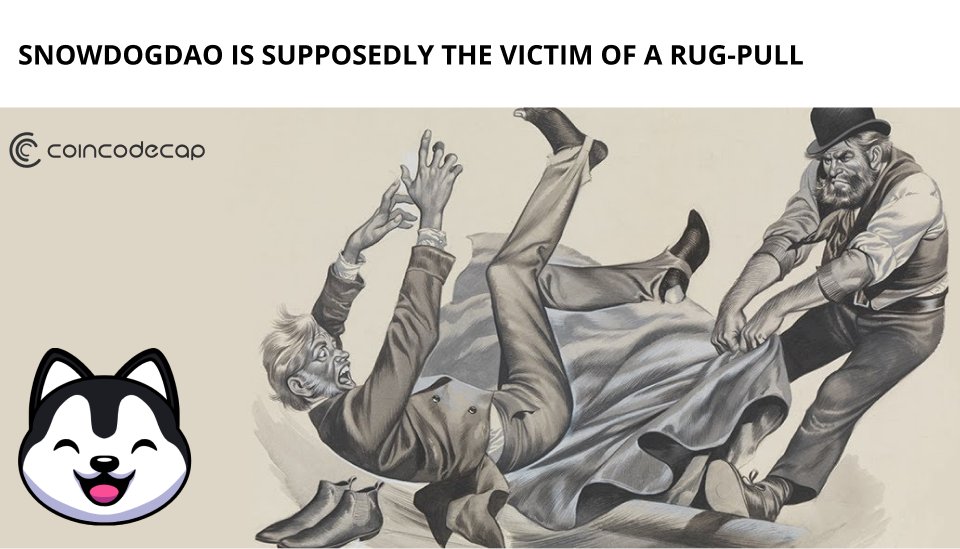 Shinra 👁️ (@shinradefi) on Twitter photo 