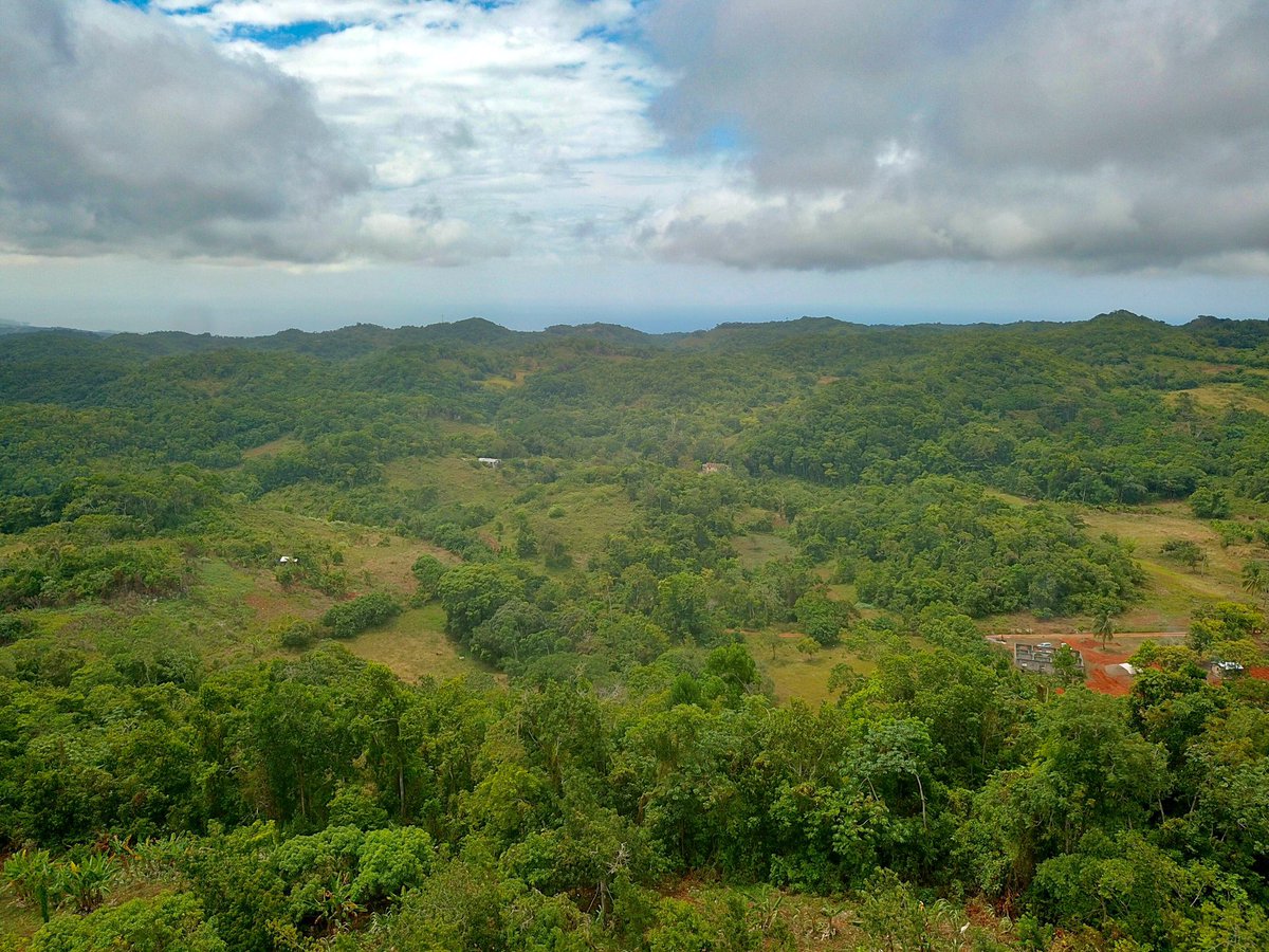 stann360's tweet image. 8 residential lots for sale in Lilyfield Bamboo, St. Ann. These lots are a part of a planned 38 unit housing development. Price starts at $4 million. Contact: (876) 890-1544