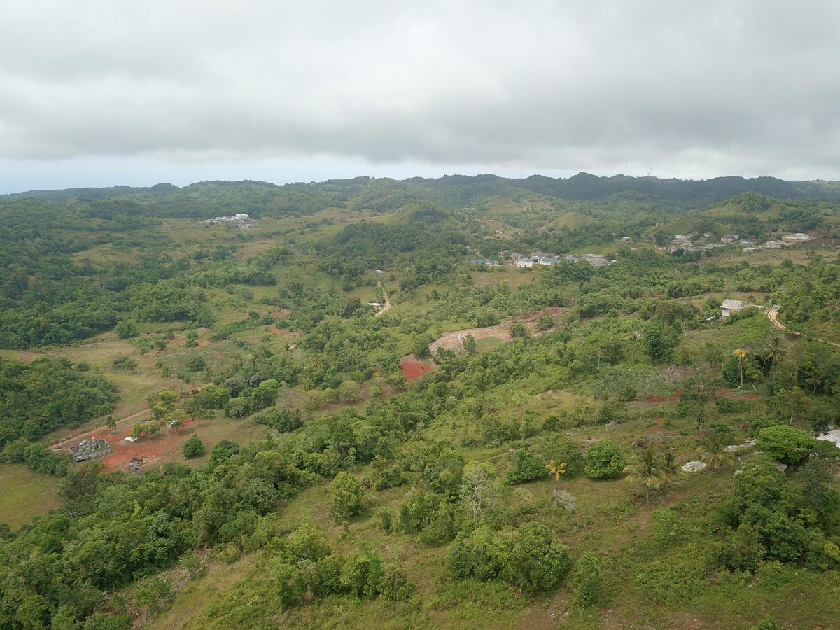 stann360's tweet image. 8 residential lots for sale in Lilyfield Bamboo, St. Ann. These lots are a part of a planned 38 unit housing development. Price starts at $4 million. Contact: (876) 890-1544