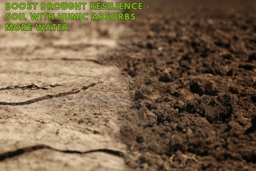 Earth__Smart tweet picture