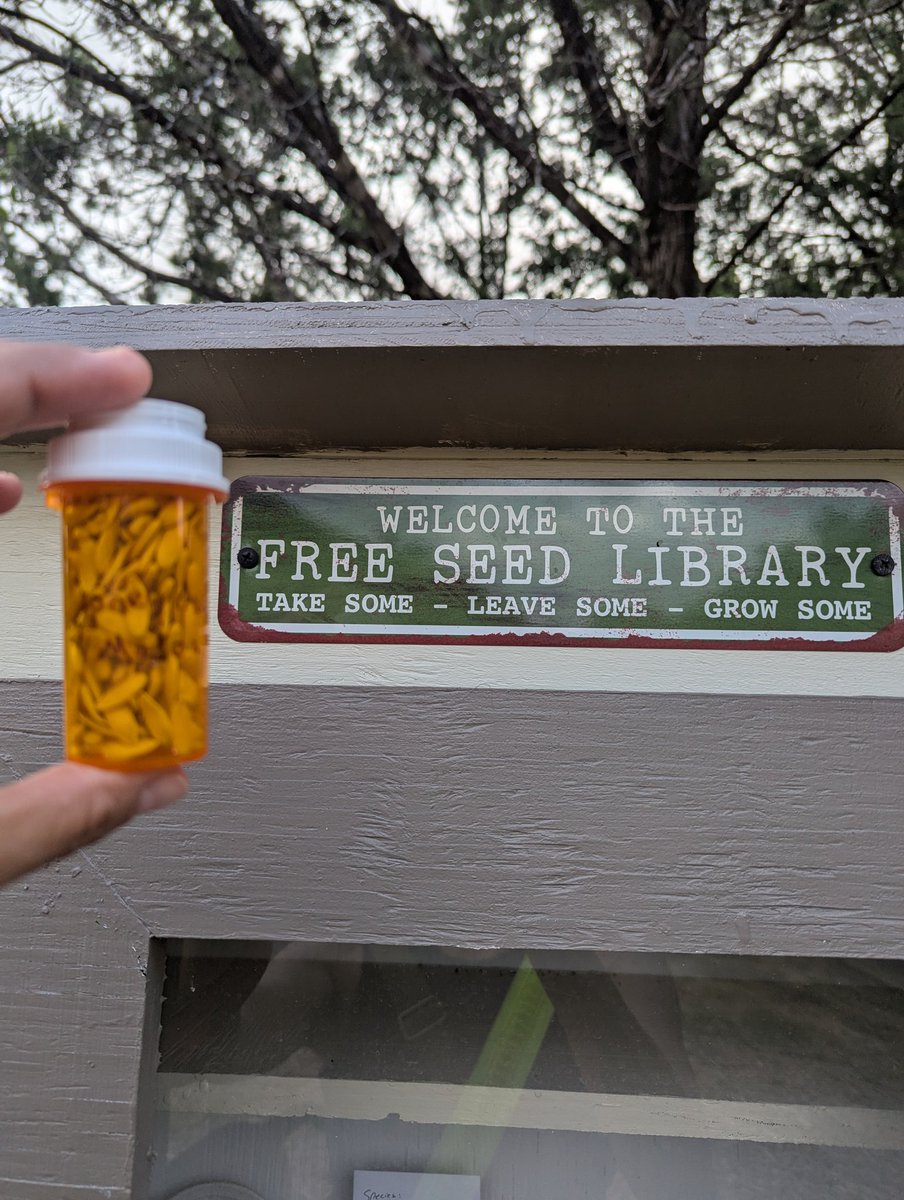 Deposit of honeydew melon seeds (from my garden) at the Eisenhower Park seed library. Other folks left behind other great wildflower and native plant seeds. 🍈 🪻