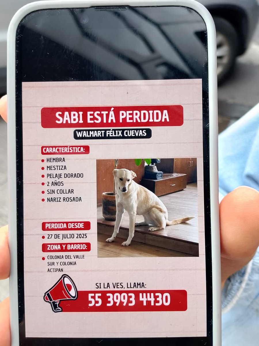 Sandra Segovia. Todos Somos Animales sí también tú (@segoviasan) on Twitter photo #CDMX ayúdanos a encontrar a Sabi
<a href="/MascotasSismo/">Mascotas Sismo</a> @CaninaAmber <a href="/UbicapetMexico/">UBICAPET MÉXICO</a> <a href="/PerrosPerdidosA/">Mascotas perdidas</a> <a href="/PerrosPerdidosA/">Mascotas perdidas</a> <a href="/PrrosPerdidosMX/">PerrosPerdidosMx</a> <a href="/PerdiMiMascota/">PerdiMiMascota</a> <a href="/PerdiDogsMx/">PerdiDogsMx</a> <a href="/lawera33/">Perros Encontrados sin su dueño</a> <a href="/mascotasdifunde/">Difusión de mascotas</a> #CDMX ayúdanos a encontrar a Sabi
<a href="/MascotasSismo/">Mascotas Sismo</a> @CaninaAmber <a href="/UbicapetMexico/">UBICAPET MÉXICO</a> <a href="/PerrosPerdidosA/">Mascotas perdidas</a> <a href="/PerrosPerdidosA/">Mascotas perdidas</a> <a href="/PrrosPerdidosMX/">PerrosPerdidosMx</a> <a href="/PerdiMiMascota/">PerdiMiMascota</a> <a href="/PerdiDogsMx/">PerdiDogsMx</a> <a href="/lawera33/">Perros Encontrados sin su dueño</a> <a href="/mascotasdifunde/">Difusión de mascotas</a>