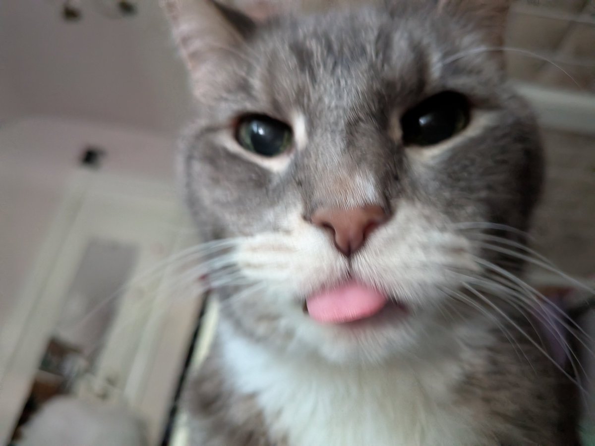 mello_drawmatic's tweet image. Biiiggggg blep
