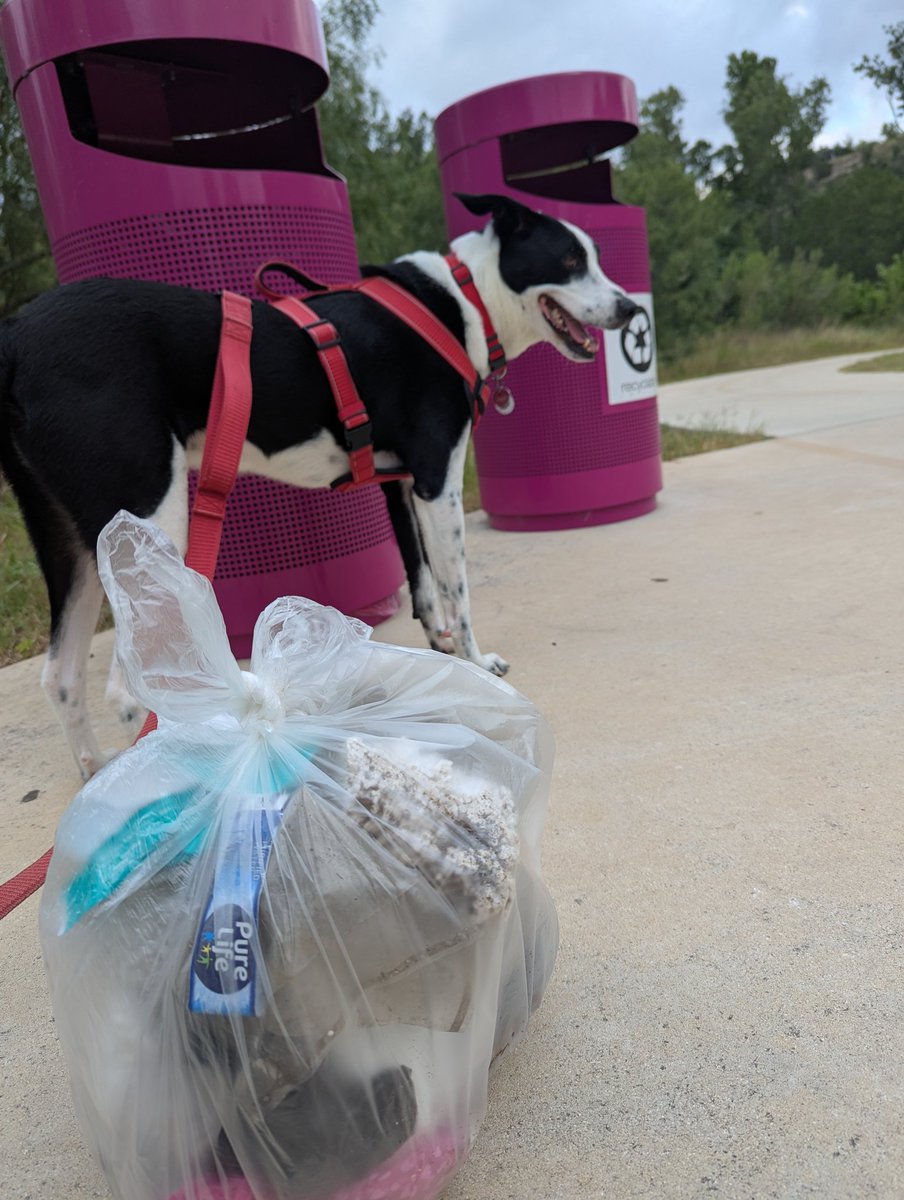 Flaco (@banjodog1) on Twitter photo A productive litter pick-up on the trails this weekend! 🗑️
Even a little bit makes a difference if you can help!
<a href="/pawsonplastic/">Paws On Plastic #pawsonplastic</a> A productive litter pick-up on the trails this weekend! 🗑️
Even a little bit makes a difference if you can help!
<a href="/pawsonplastic/">Paws On Plastic #pawsonplastic</a>